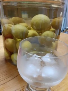 あまり甘くない梅酒-レシピのメイン写真