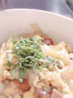焼き鳥缶チャレンジ1日目・缶詰で親子丼-レシピのメイン写真