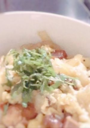 焼き鳥缶チャレンジ1日目・缶詰で親子丼-レシピのメイン写真
