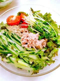 サッポロ一番塩らーめん☆で冷やしラーメン-レシピのメイン写真
