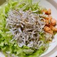 暑い日に超簡単!鮭とシラス丼