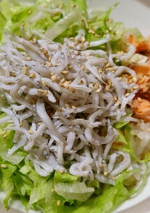 暑い日に超簡単！鮭とシラス丼-レシピのメイン写真