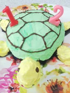 カメさんケーキ~♪-レシピのメイン写真