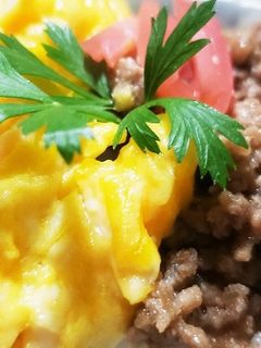 お年寄り絶賛シリーズ☆牛ひき肉そぼろ丼☆-レシピのメイン写真