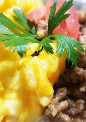 お年寄り絶賛シリーズ☆牛ひき肉そぼろ丼☆-レシピのメイン写真
