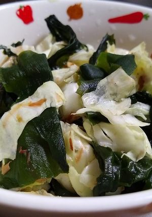 塩もみキャベツとわかめのおかか醤油和え-レシピのメイン写真