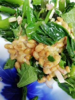 つるむらさきの納豆和え☆納豆好きさんへ-レシピのメイン写真