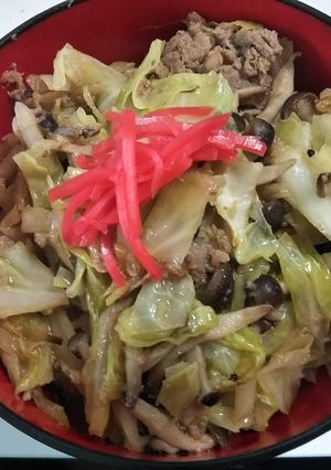 豚キャベ丼-レシピのメイン写真