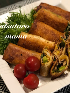 簡単♪レンチンで作る豚キムチの春巻き✨-レシピのメイン写真