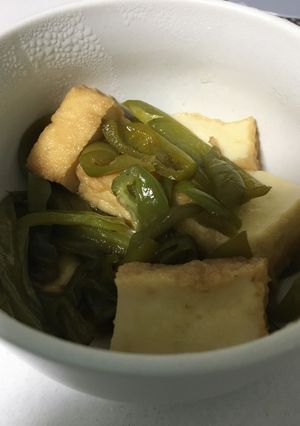 ピーマンと厚揚げの煮物-レシピのメイン写真