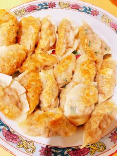夏にぴったりゴーヤ餃子-レシピのメイン写真