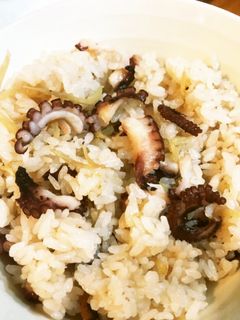 タコ飯 -レシピのメイン写真