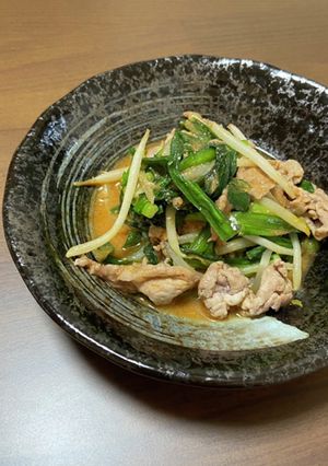 豚肉ともやしのピリ辛味噌炒め-レシピのメイン写真