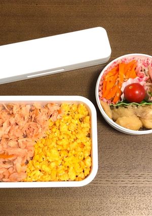 自分弁当・2色丼-レシピのメイン写真