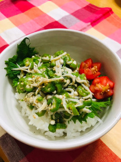 うちのオクラしらす丼-レシピのメイン写真