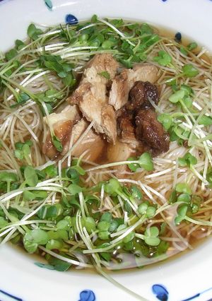 １０分で簡単にゅうめん-レシピのメイン写真