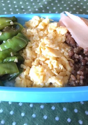 猛暑に負けない♡家族のために夏の三色弁当-レシピのメイン写真