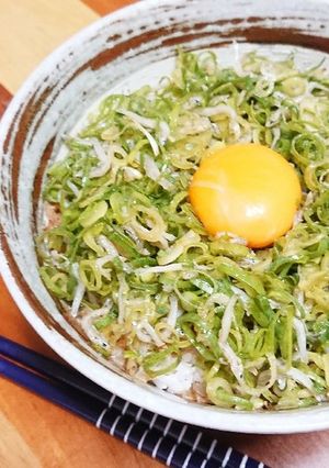 刻み和えて乗せるだけ！簡単☆ネギじゃこ丼-レシピのメイン写真