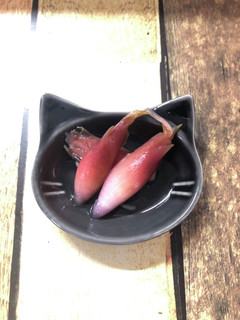 みょうがの甘酢漬け-レシピのメイン写真