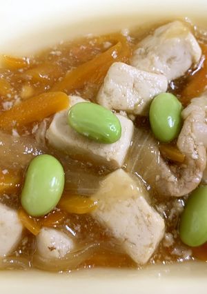豆腐の肉野菜あん-レシピのメイン写真