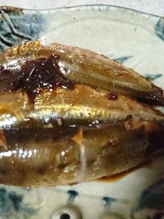 簡単10分!イワシの梅煮-レシピのメイン写真