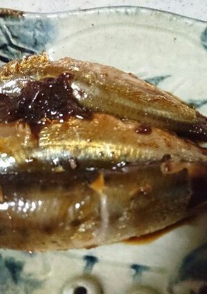 簡単10分！イワシの梅煮-レシピのメイン写真
