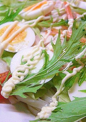 暑い日に☆野菜たっぷりサラダうどん-レシピのメイン写真