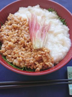 5分で簡単山芋と納豆のとろねばスタミナ丼-レシピのメイン写真