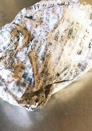 冷凍で夏も安心臭わない 魚の内臓の捨て方-レシピのメイン写真