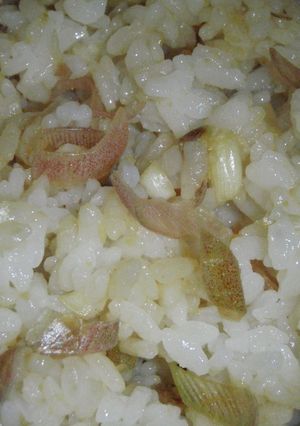 炊きたてごはんで♪生姜茗荷ごはん♪-レシピのメイン写真