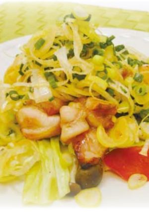 鶏肉のピリ辛ねぎまみれ・たっぷり野菜添え-レシピのメイン写真