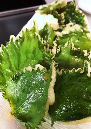 青じその天ぷら-レシピのメイン写真