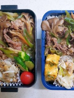 ☆高校生娘と中学生息子のお弁当☆294-レシピのメイン写真