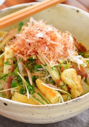 パリパリお揚げと冬瓜の薬味サラダ-レシピのメイン写真