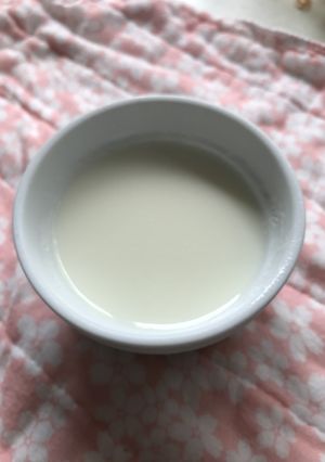 材料３つ☆簡単はちみつ牛乳プリン-レシピのメイン写真