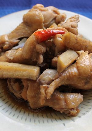 鳥手羽とごぼう煮-レシピのメイン写真