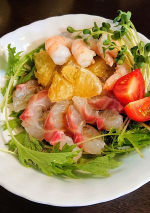 鯛と河内晩柑のカルパッチョ-レシピのメイン写真