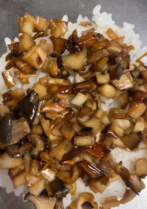 ヘルシー！エリンギだけのそぼろ丼-レシピのメイン写真