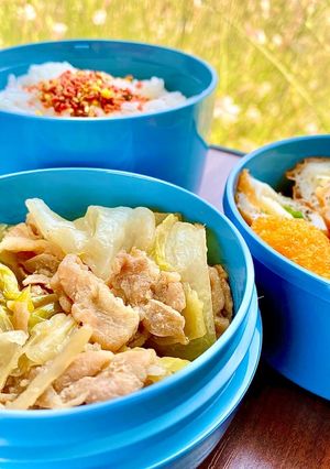 タロの弁当⑩豚肉キャベツ煮ほか-レシピのメイン写真