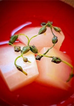 冬瓜とミズのひんやり煮-レシピのメイン写真