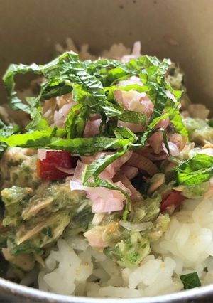 夏野菜の混ぜてぶっかけごはん　子どもにも-レシピのメイン写真