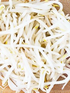 簡単豆知識☆シャキシャキもやしの下拵え-レシピのメイン写真