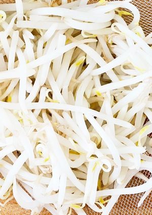 簡単豆知識☆シャキシャキもやしの下拵え-レシピのメイン写真