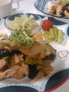 鶏ももとナスのマヨぽん炒め-レシピのメイン写真