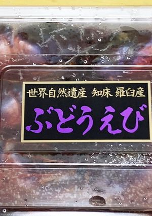 「食べ尽くせ」幻のブドウエビの皮の唐揚げ-レシピのメイン写真