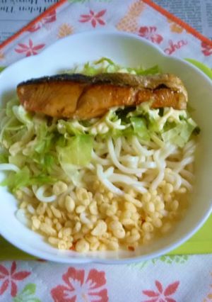 醤油うどん風冷やしうどん16～紅鮭載せ-レシピのメイン写真