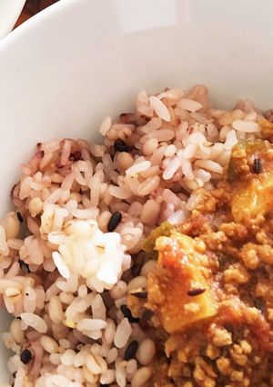 大人のスパイスカレー-レシピのメイン写真
