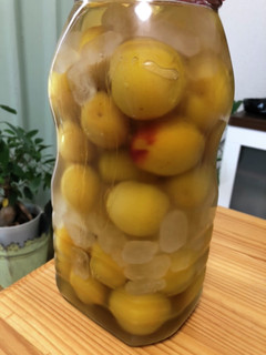 はちみつ梅サワー-レシピのメイン写真