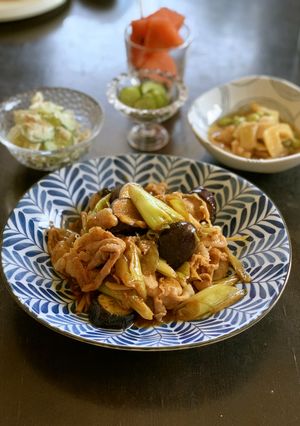 豚肉と茄子の甜麺醤炒め-レシピのメイン写真