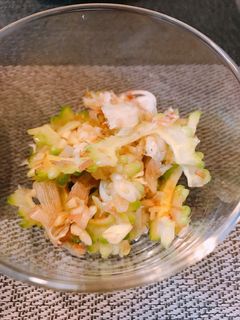 ゴーヤとミョウガの和え物-レシピのメイン写真